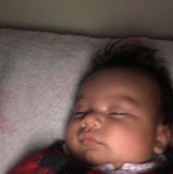 bos_dre2316